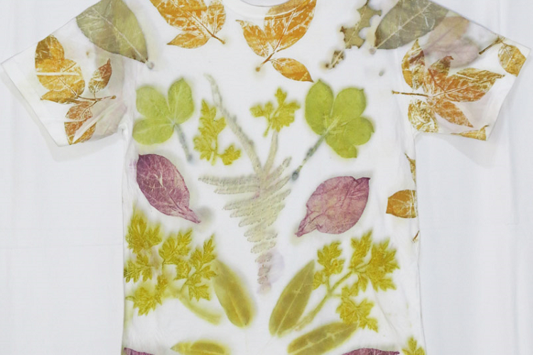 leaf printing on fabric place the leaf face down