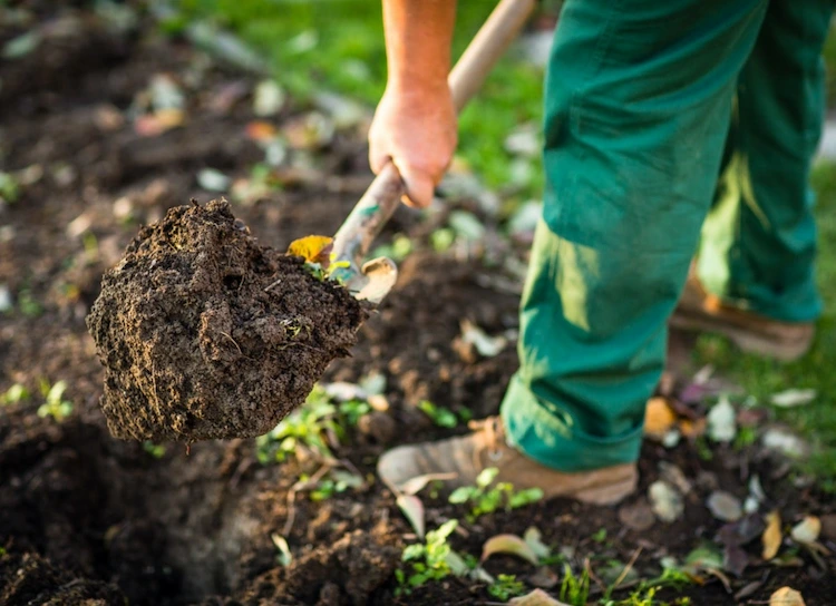make compost in the fall to prepare the garden