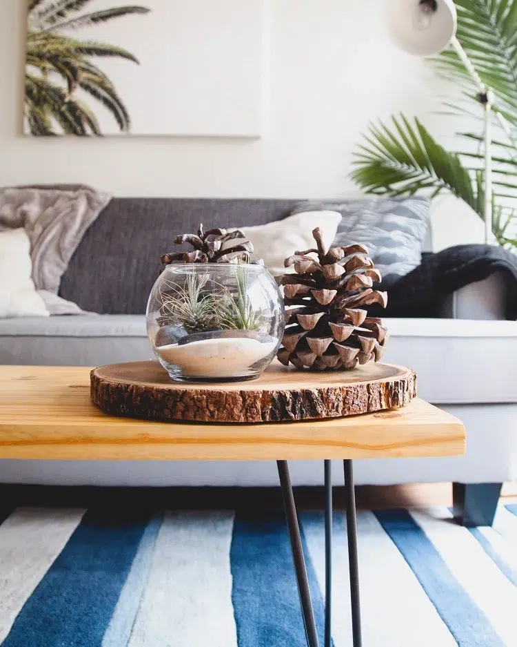 pine cone decoration ideas living room coffee table fall decor