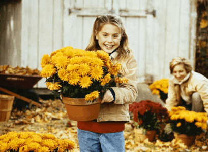 protect mums from frost place them in a garage or another shelter