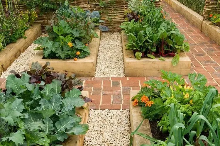 the ideal growing conditions for a raised bed in september
