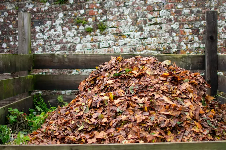 turn the compost in the fall