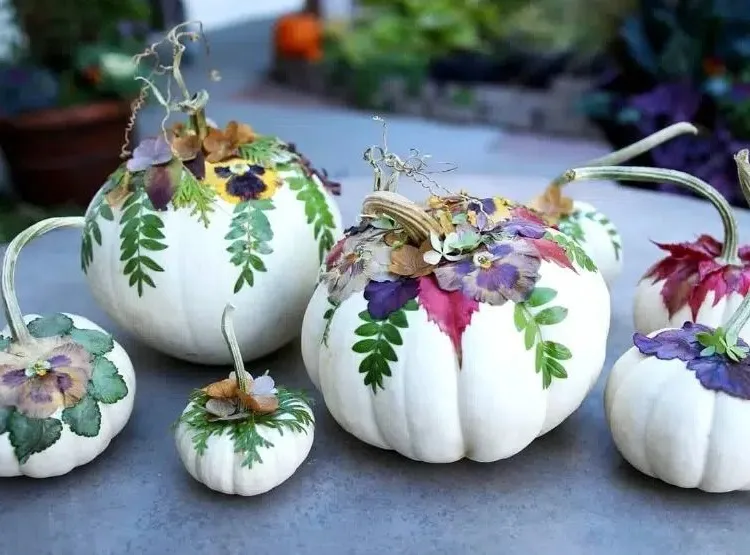 tutorial decoration fall easy to make white herbarium pumpkins