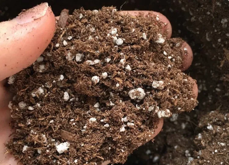 what to do with old potting soil add amendment