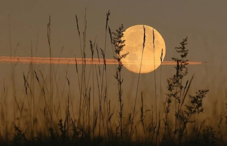 when and what is the harvest moon in 2023 september