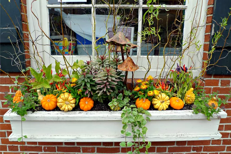 window box fall decor ideas diy fall planters