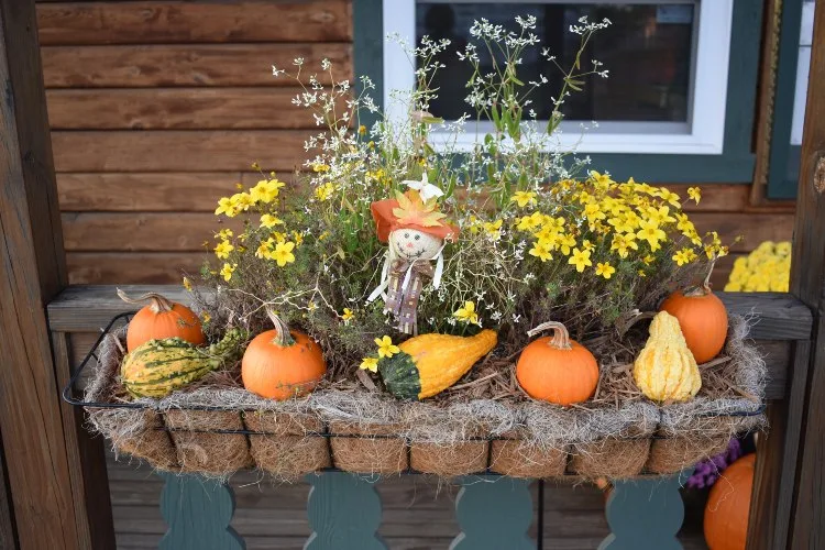 window box fall decoration ideas scarecrow and pumpkins