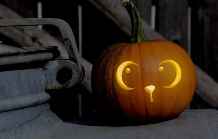 cat pumpkin carving crescent moon eyes
