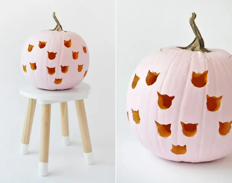 diy halloween decoration cat pumpkin carving