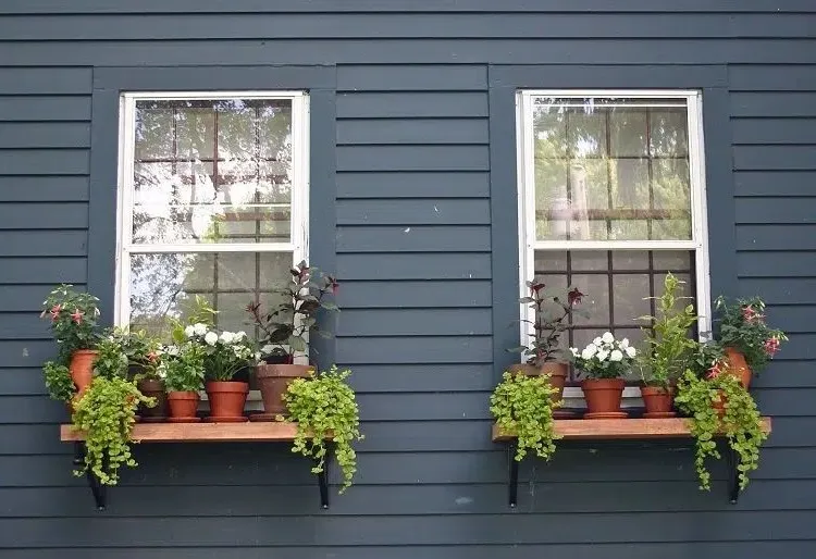 decoration for exterior window sill plants