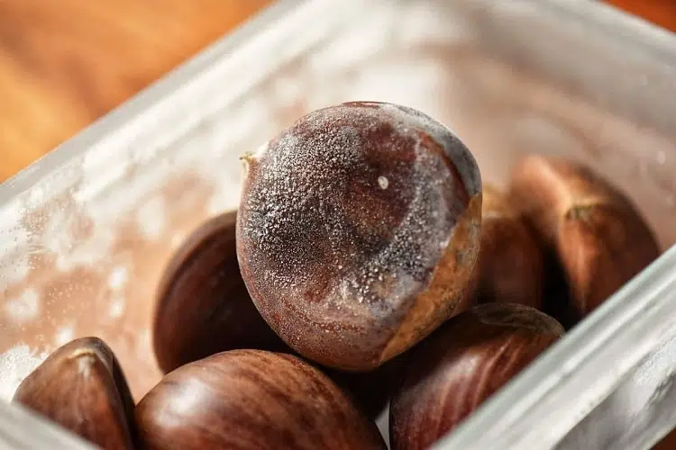 how to store chestnuts properly