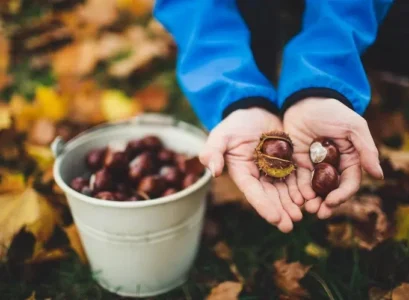 how to store fresh chestnuts