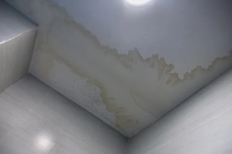 identifying roofing issues ceiling stains