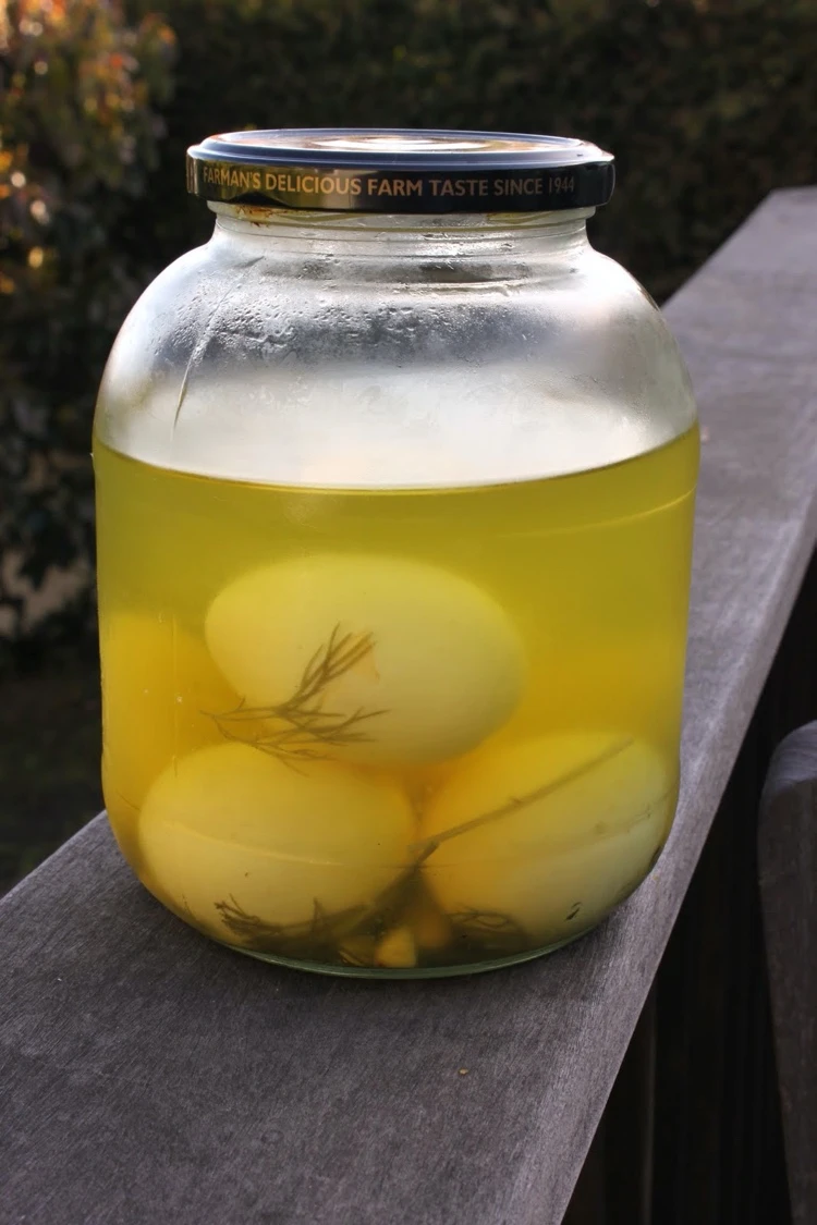 preserve food in pickle juice