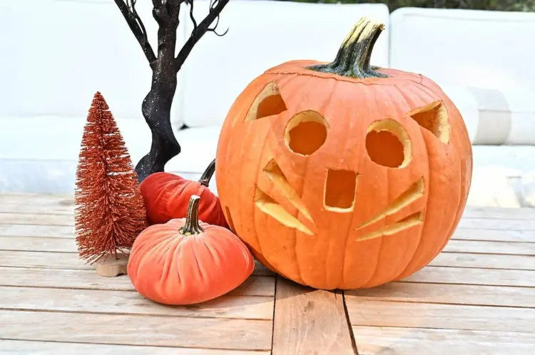 simple cat pumpkin carving circles triangles and a rectangle