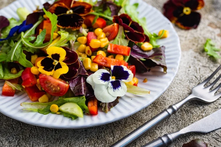 violet flower salad with cucumber corn tomatoes and peppers
