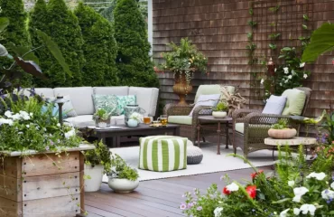 what are the best evergreen shrubs for a south facing patio garden