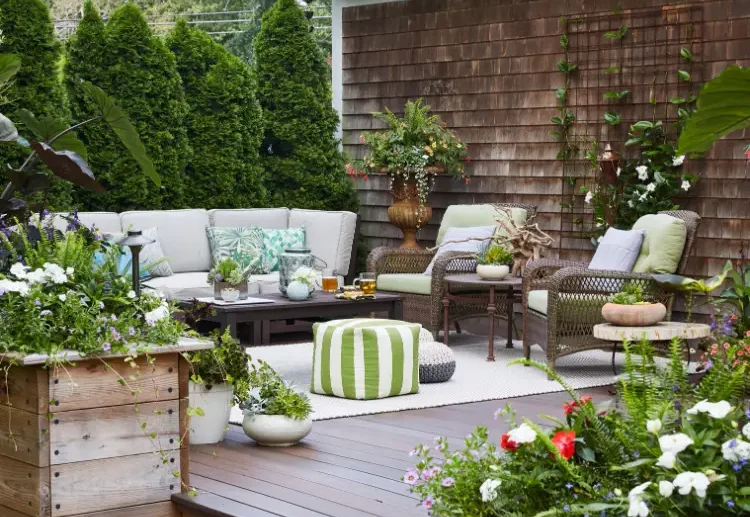what are the best evergreen shrubs for a south facing patio garden