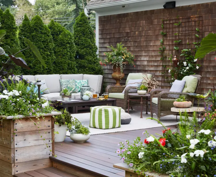 what are the best evergreen shrubs for a south facing patio garden