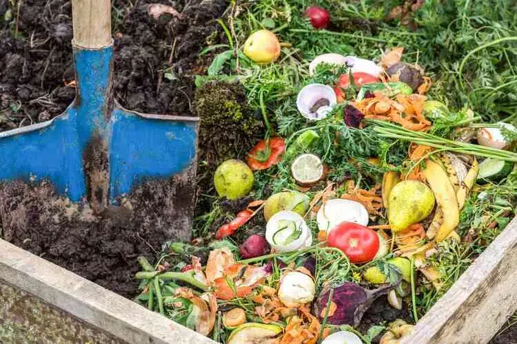 why does my compost smell bad reasons and solutions
