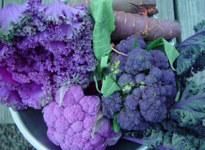 cold hardy vegetables a bouquet of veggies