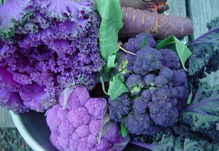 cold hardy vegetables a bouquet of veggies
