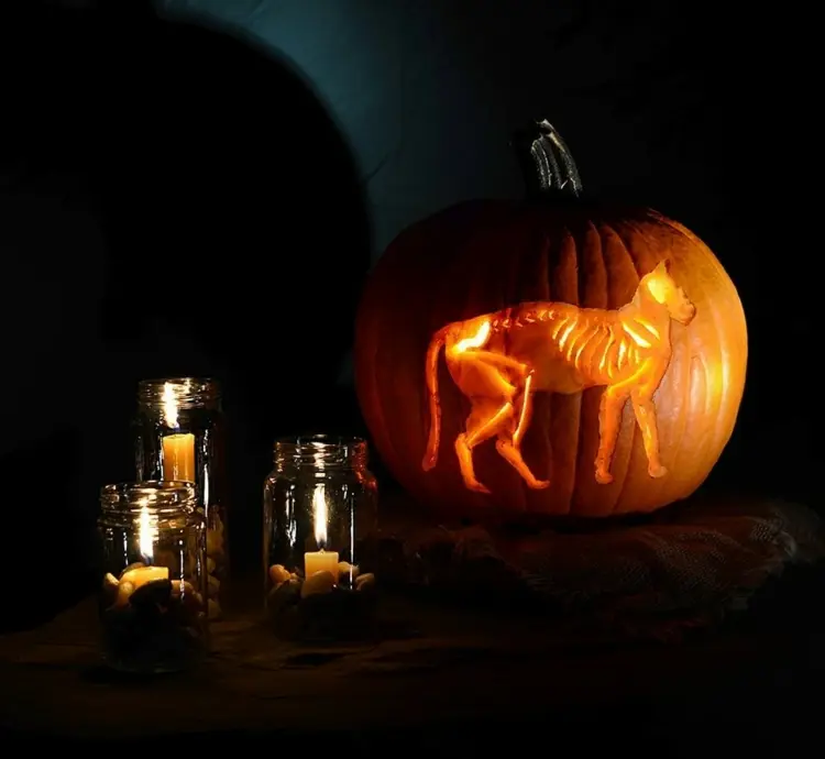 cool cat pumpkin carving skeleton with stencil template