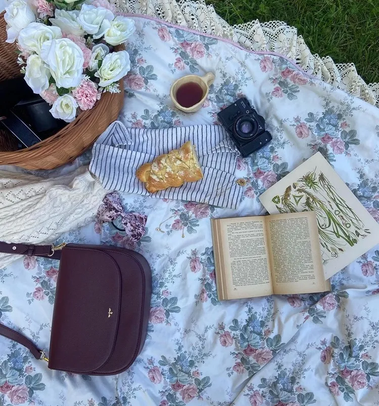 cozy girl aesthetic picnic ideas