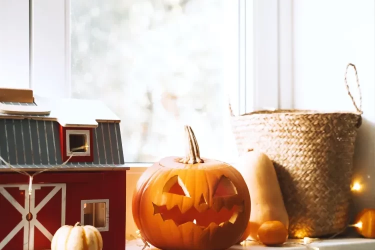 decorate a window for halloween with pumpkins in different sizes and faces