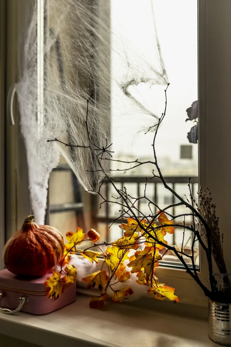 drawing window halloween decor inevitable spiders skeletons bats