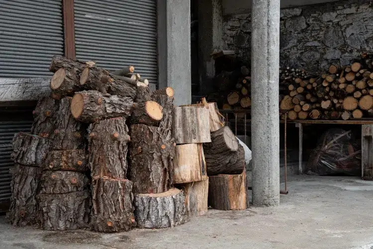 drying firewood quickly stacking shelter cutting logs