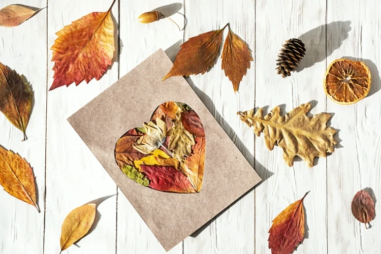 fall collage greeting card crafts fall leaves