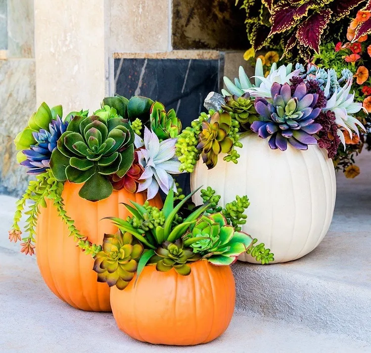floral arrangements in a pumpkin