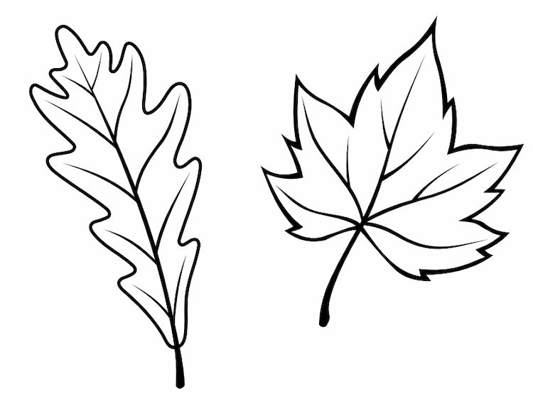 free fall leaves template to print