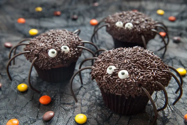 funny halloween spider cupcakes