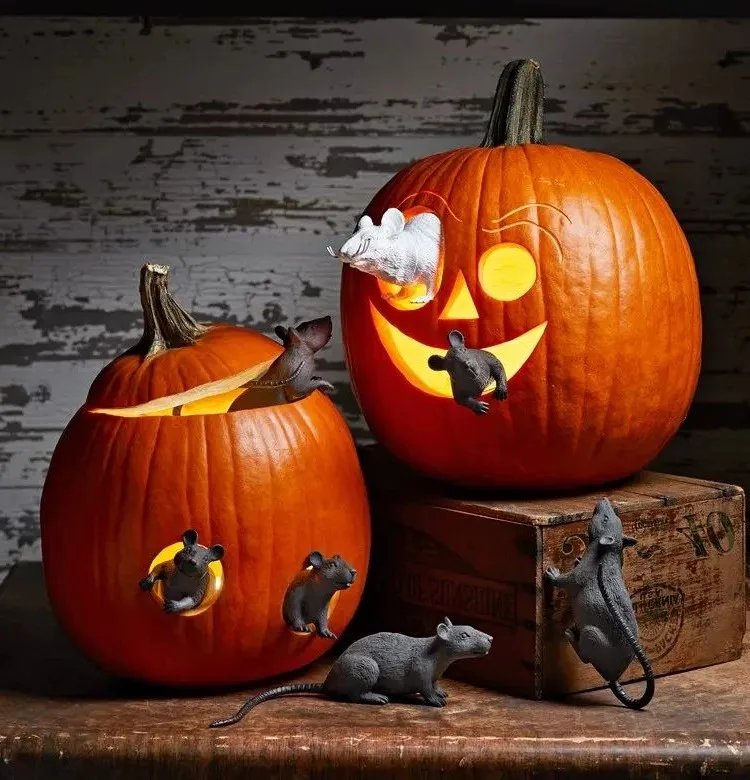 halloween carved pumpkins with fake mice