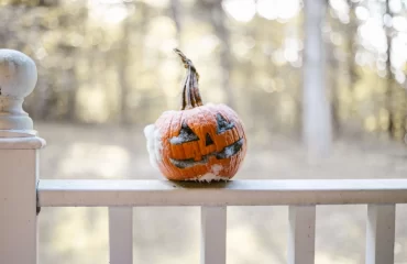 halloween pumpkin molding prevention causes care tips