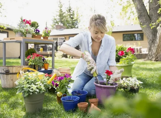 hardy perennial herbs combinations sage with rosemary