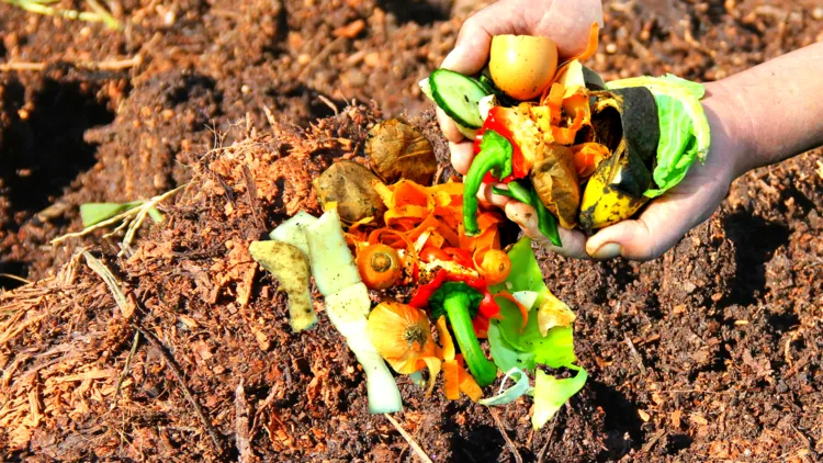 how to avoid bad smells in the compost