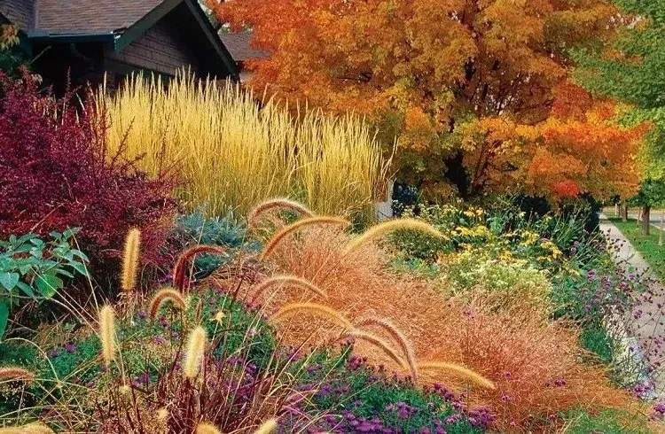 how to create a beautiful orange garden in autumn