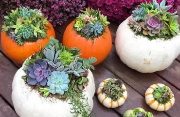 how to make succulent pumpkins easy methods diy halloween ideas (1)