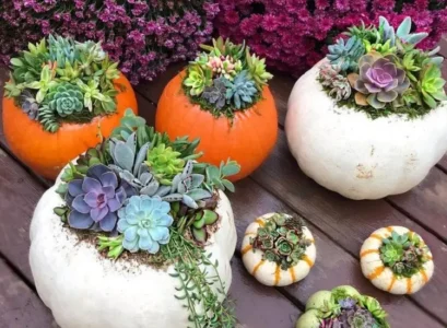 how to make succulent pumpkins easy methods diy halloween ideas (1)