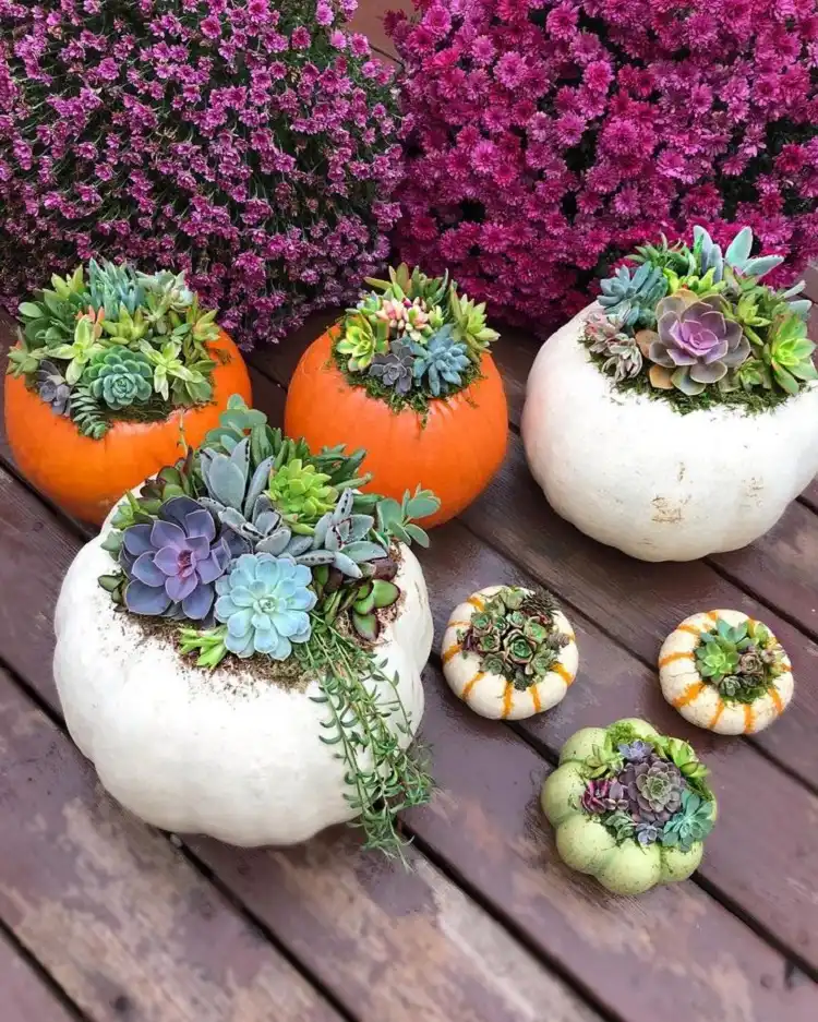 how to make succulent pumpkins easy methods diy halloween ideas