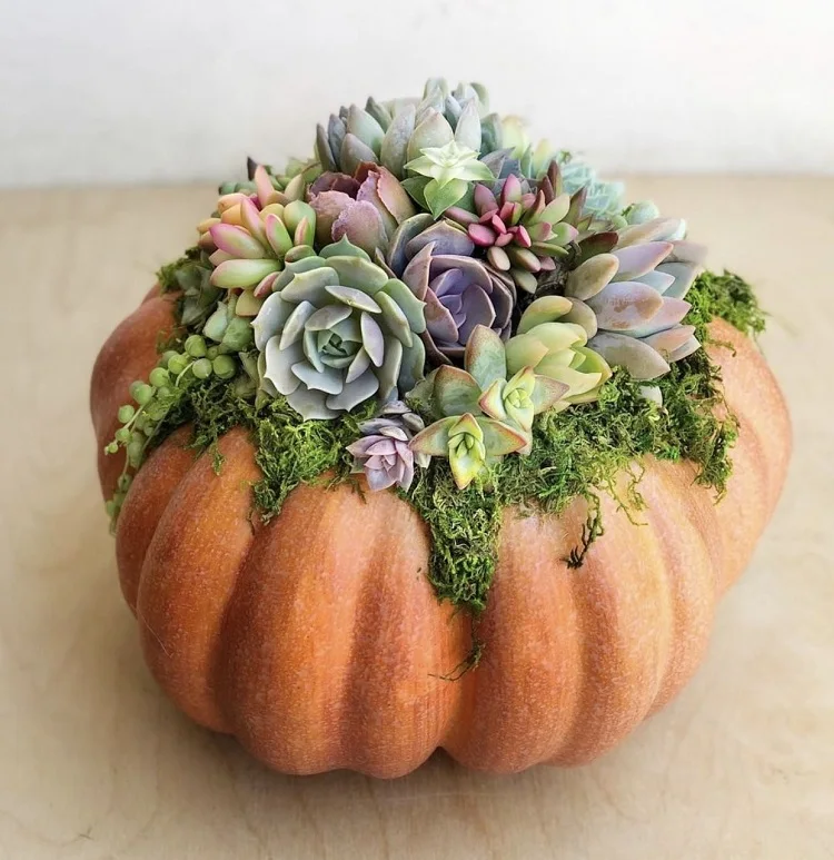 how to make succulent pumpkins step by step tutorial