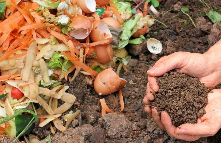 how to prevent bad smells in the compost