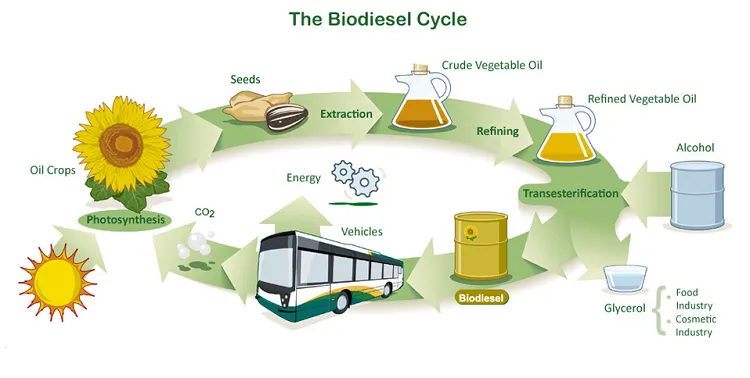 how to recycle used cooking oil create biodiesel