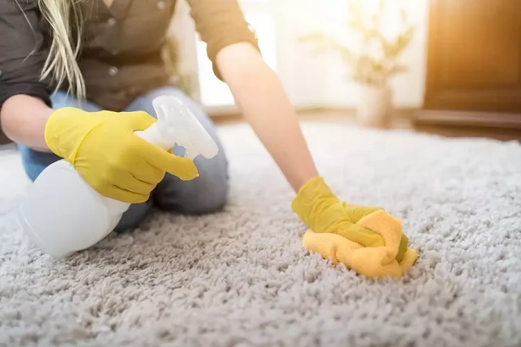 how to remove urine smell from carpet spray with vinegar water solution