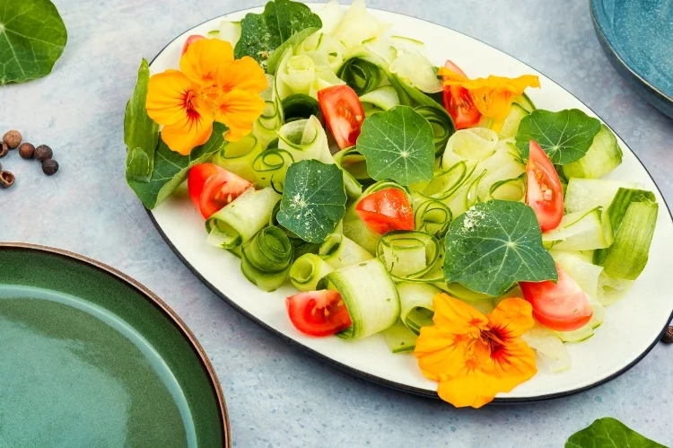 kapuzinerkresse zum salat hinzufuegen essbare blueten und blaetter