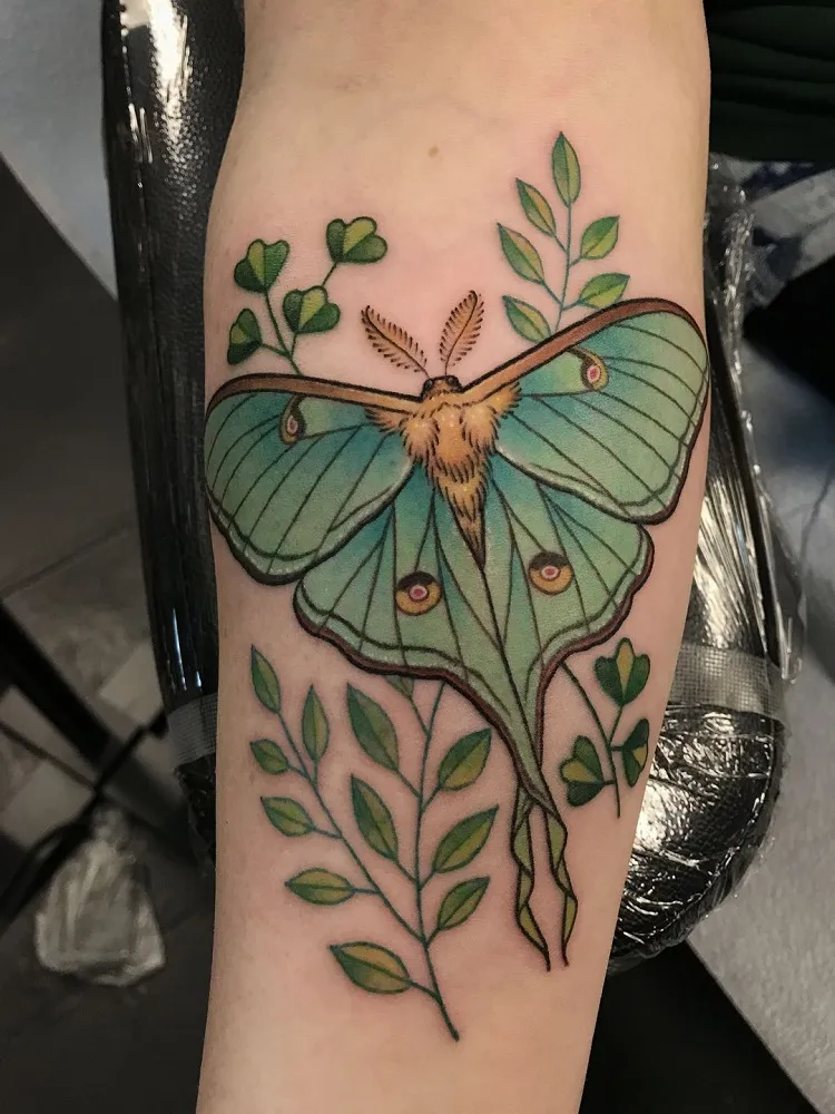 luna moth tattoo meaning