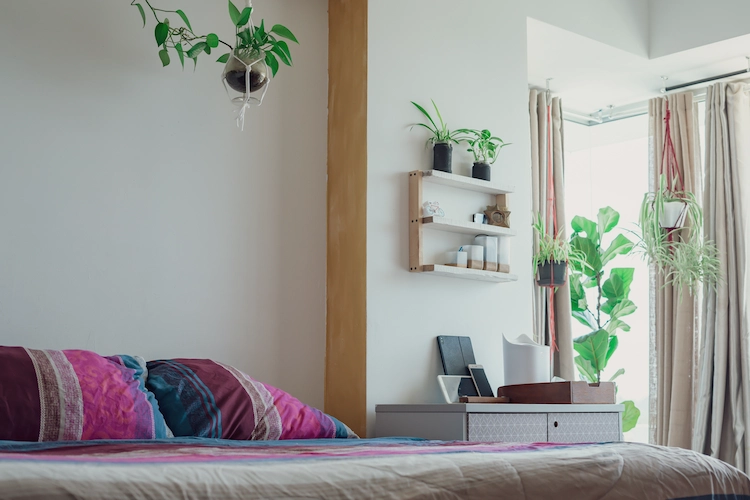 minimalist bedroom design easy to care plants